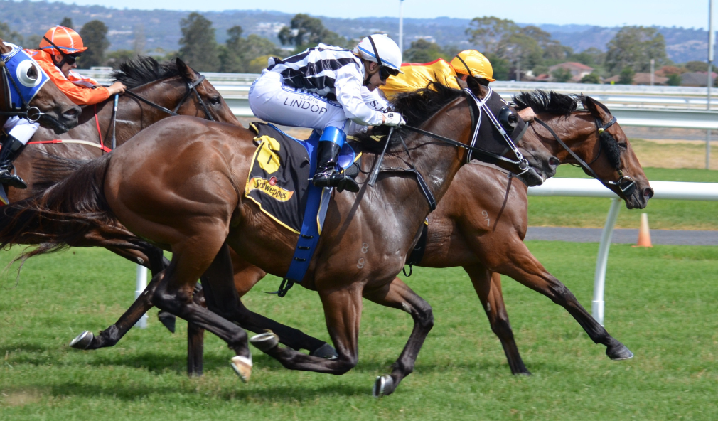 Sandringham Race Track