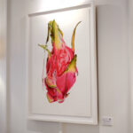 Dragonfruit Heart Adria