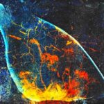 POLAROID SERIES N1 BY SANGES @